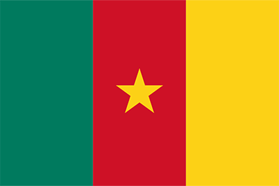Flag of Cameroon